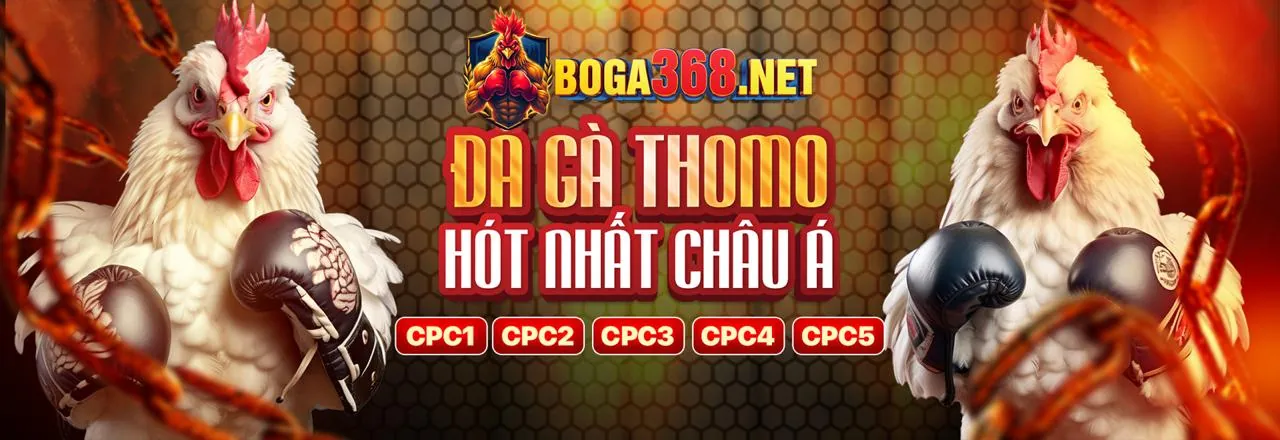 Hình ảnh hỗ trợ khách hàng và câu hỏi thường gặp tại EOS90S Link Mới