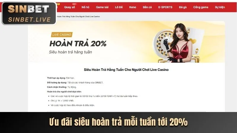Cung cấp thông tin chi tiết